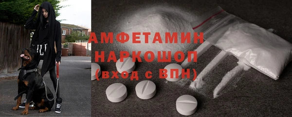 твердый Алексин